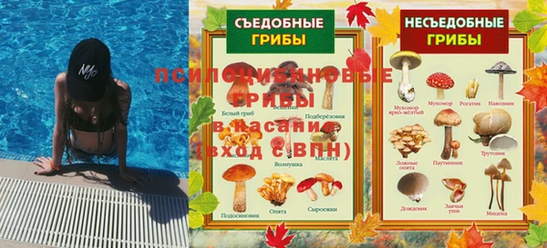 СК Бронницы