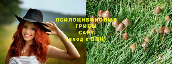 мяу мяу мука Бугульма