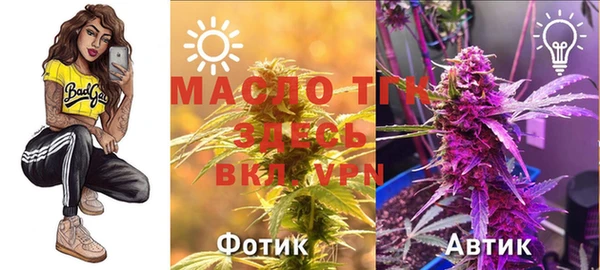 СК Бронницы