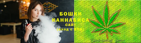СК Бронницы