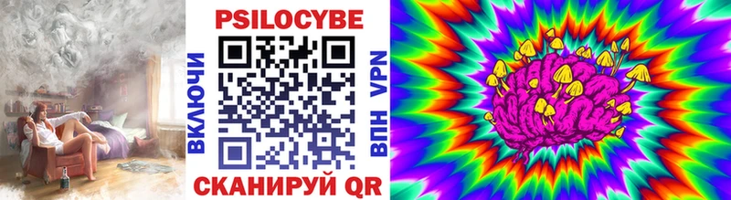 где продают наркотики  Киржач  Галлюциногенные грибы ЛСД 